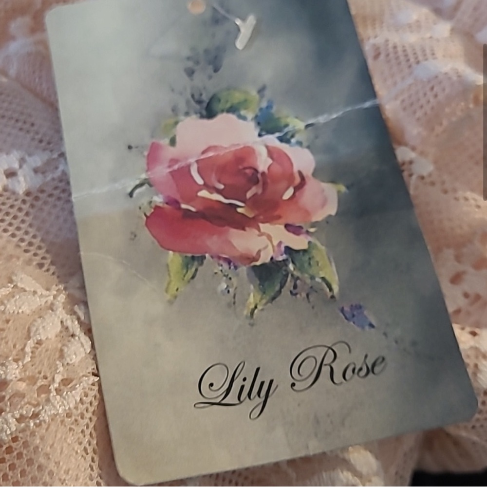 NWT Lily Rose dress. Blush size small - Picture 5 of 8